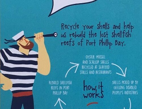 Shuck don’t chuck! The recycling program for oyster, scallop and mussel shells