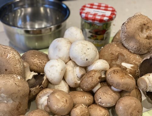 Chicken Cacciatore – hunter’s wife’s braised chicken